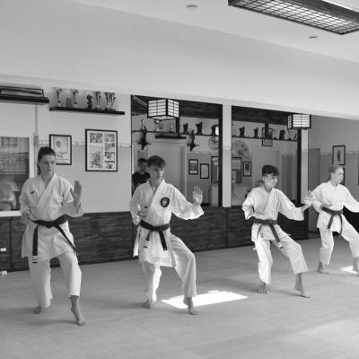 Dojo1