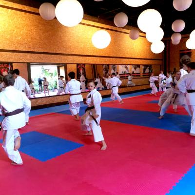 Kimura Shukokai Karate Honbudojo Deutschland